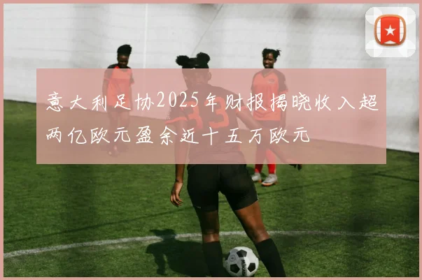 意大利足协2025年财报揭晓收入超两亿欧元盈余近十五万欧元